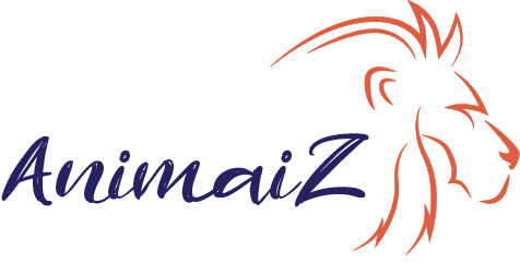 Animaiz