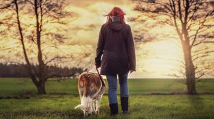 Onde nossos cães podem entrar?