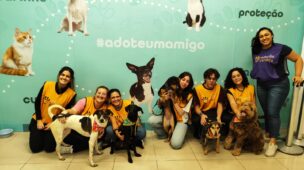 Shopping Metropolitano Barra promove feira de adoção de cães e gatos no próximo sábado